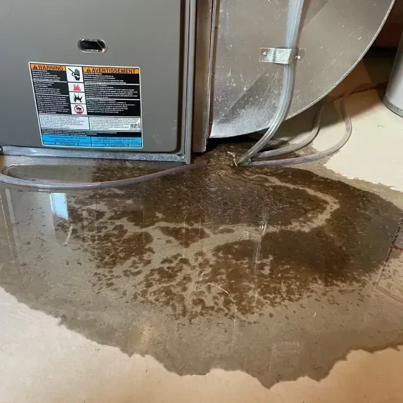 Appliance Leak Cleanup in Wallis, TX